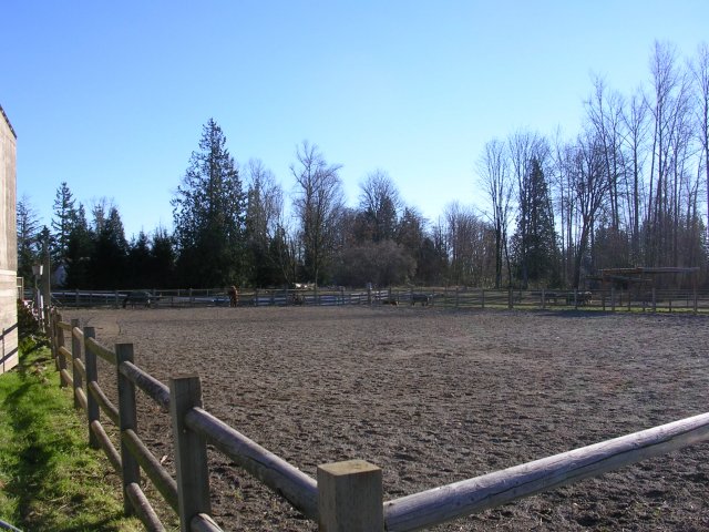 Outdoor arena 1